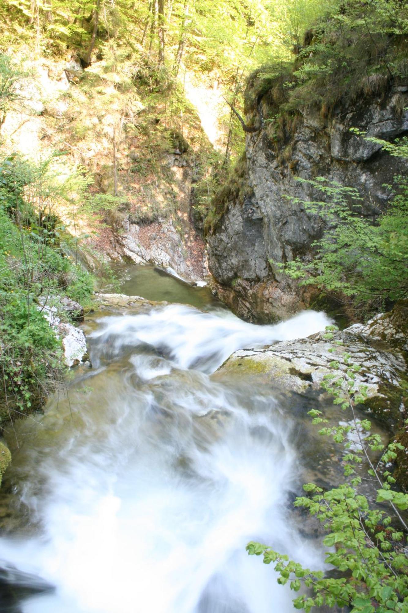 Hupfmuehle Pension Sankt Wolfgang im Salzkammergut Bagian luar foto