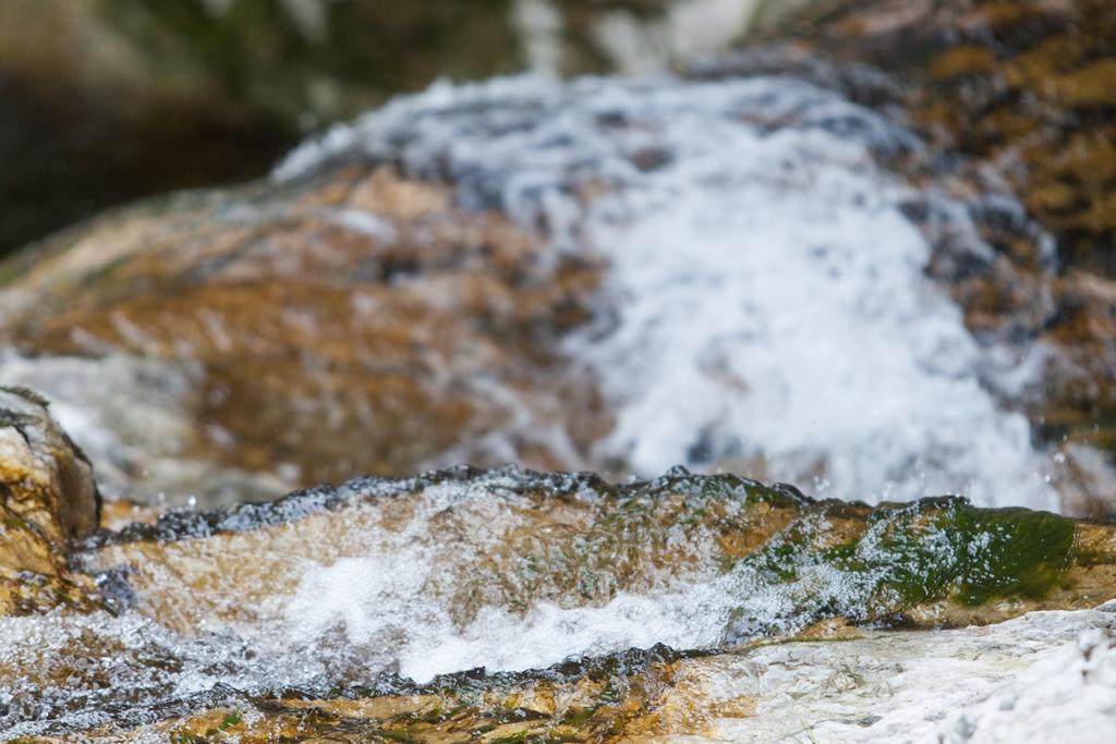 Hupfmuehle Pension Sankt Wolfgang im Salzkammergut Bagian luar foto